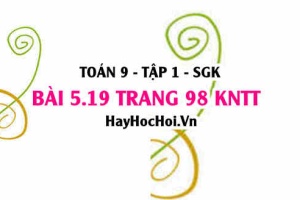 Bài 5.19 Toán 9 tập 1 SGK Kết nối tri thức